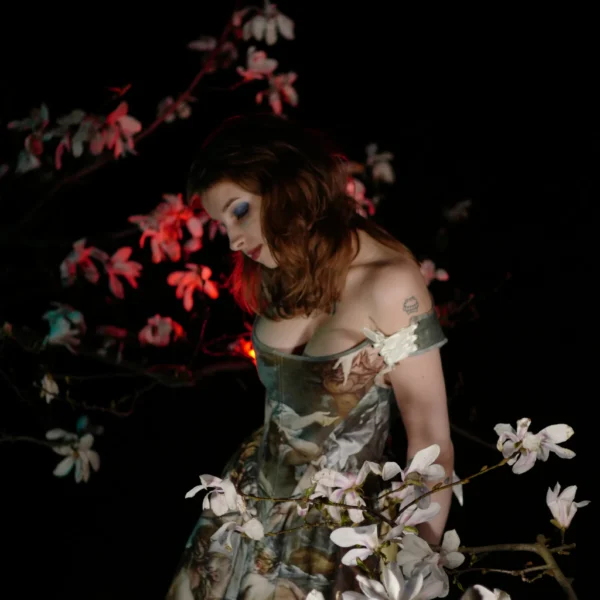 Reversible dress with painting | Corset dress | Renaissance dress